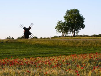 'Utredning om Ölands kommunförbund och ökat samarbete mellan Ölandskommunerna' bild