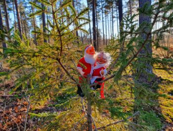 'Utflyktstips vintertid – Tomtesmyg' bild
