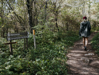 'Vackra vandringsleder rustas upp' bild