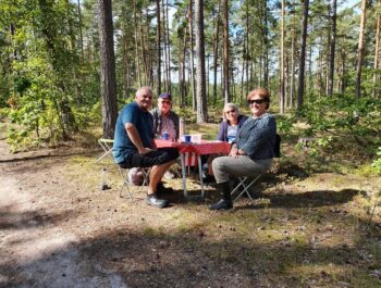 'Satsningar för att lindra pandemins effekter' bild