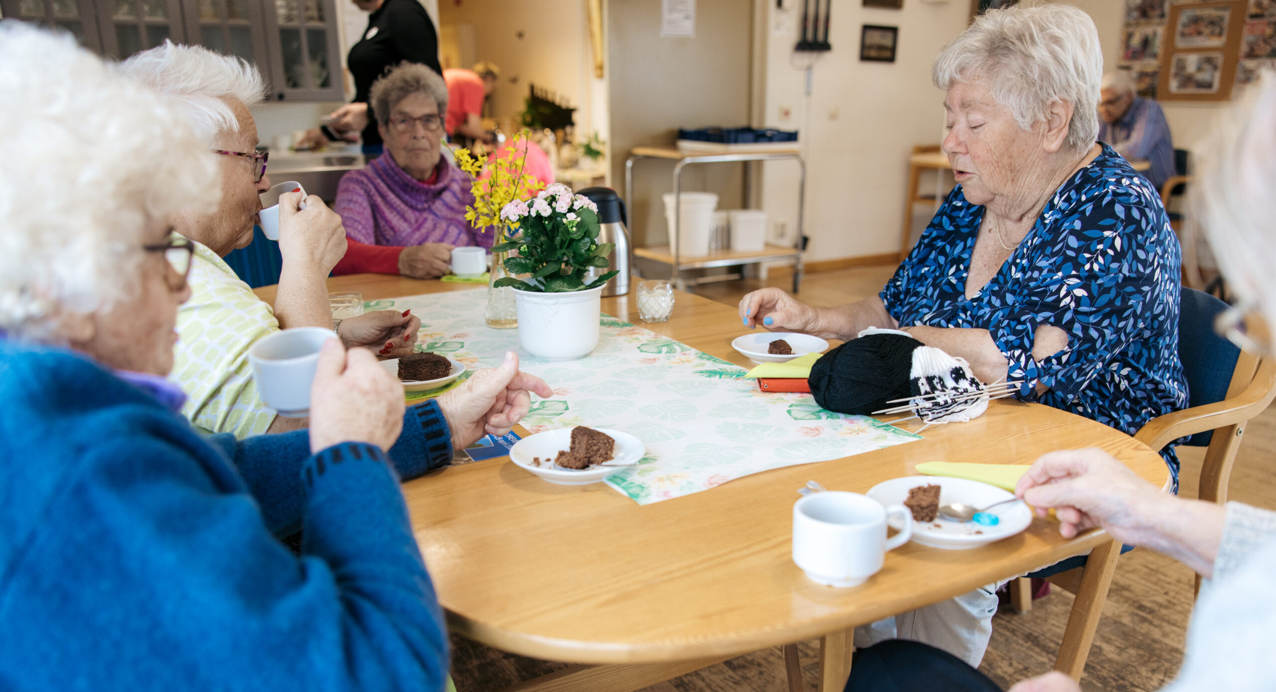 Träffpunkten Solrosen på Strömgården